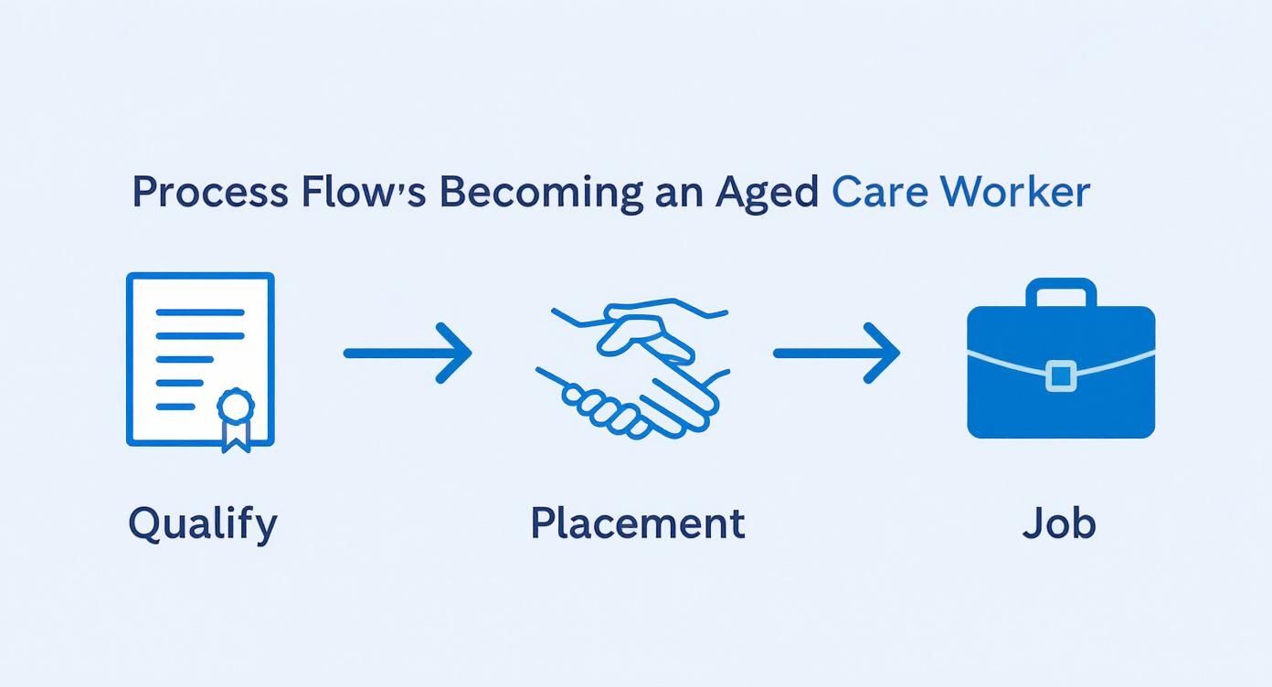 A clear process flow outlines steps to become an aged care worker: Qualify, Placement, Job.