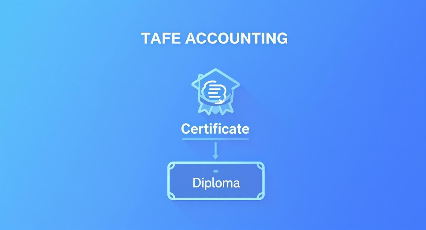 An infographic shows the TAFE Accounting pathway, progressing from Certificate to Diploma qualification.