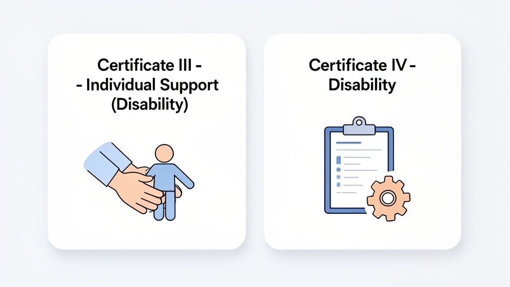 Two cards displaying Certificate III in Individual Support (Disability) and Certificate IV in Disability courses with relevant icons.