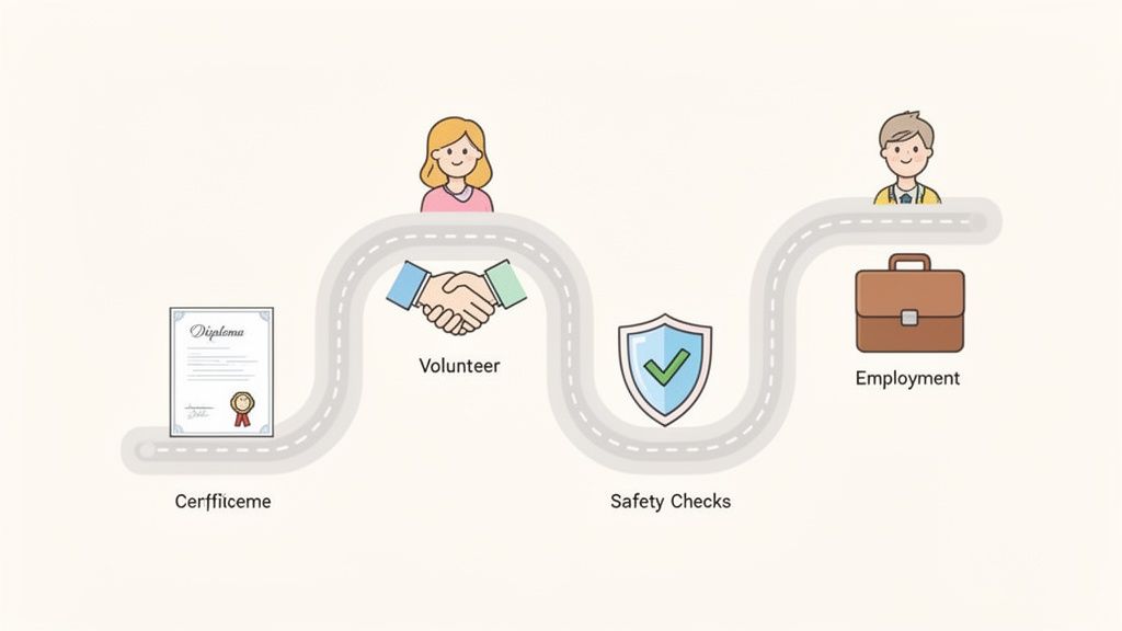 Illustration showing the steps to employment: certificate, volunteer work, safety checks, and a job.