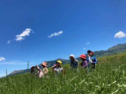 おてんとさん視察日程のご案内