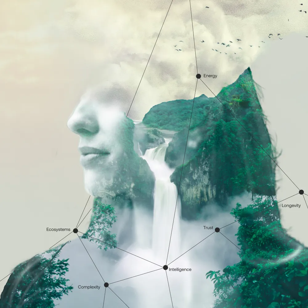 Alumni Interview videos