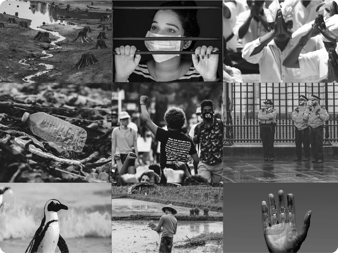 Assorted black and white photographs capturing various scenes.