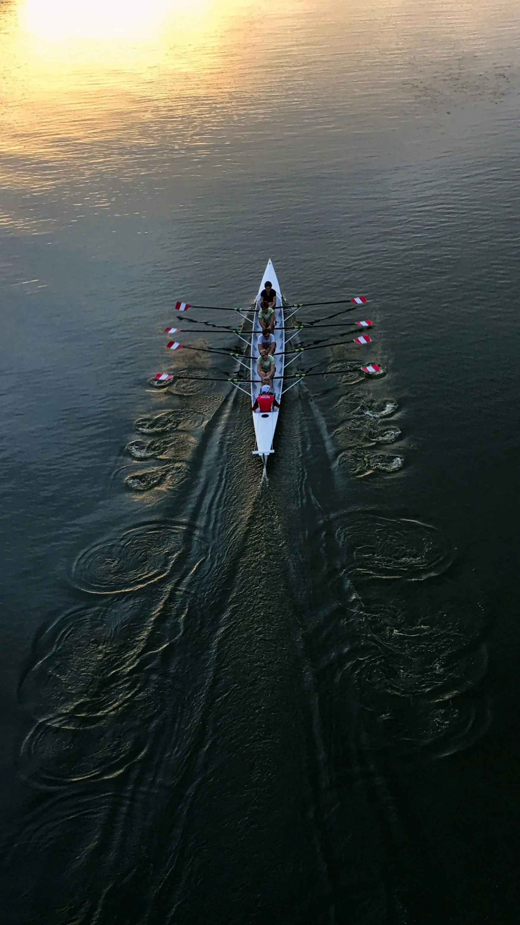 5 People in a boat rowing