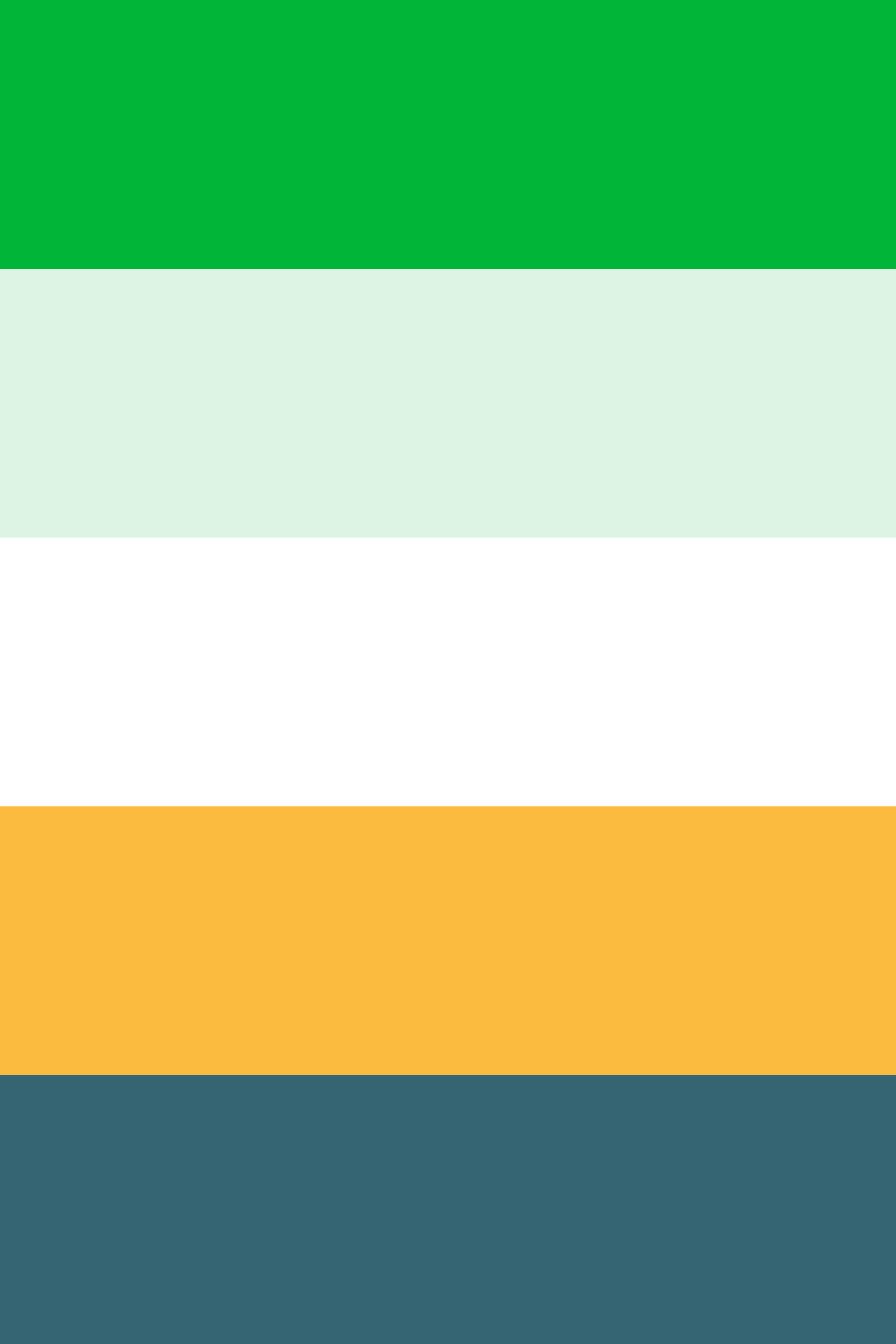 La palette de couleurs du site web Investor Channel