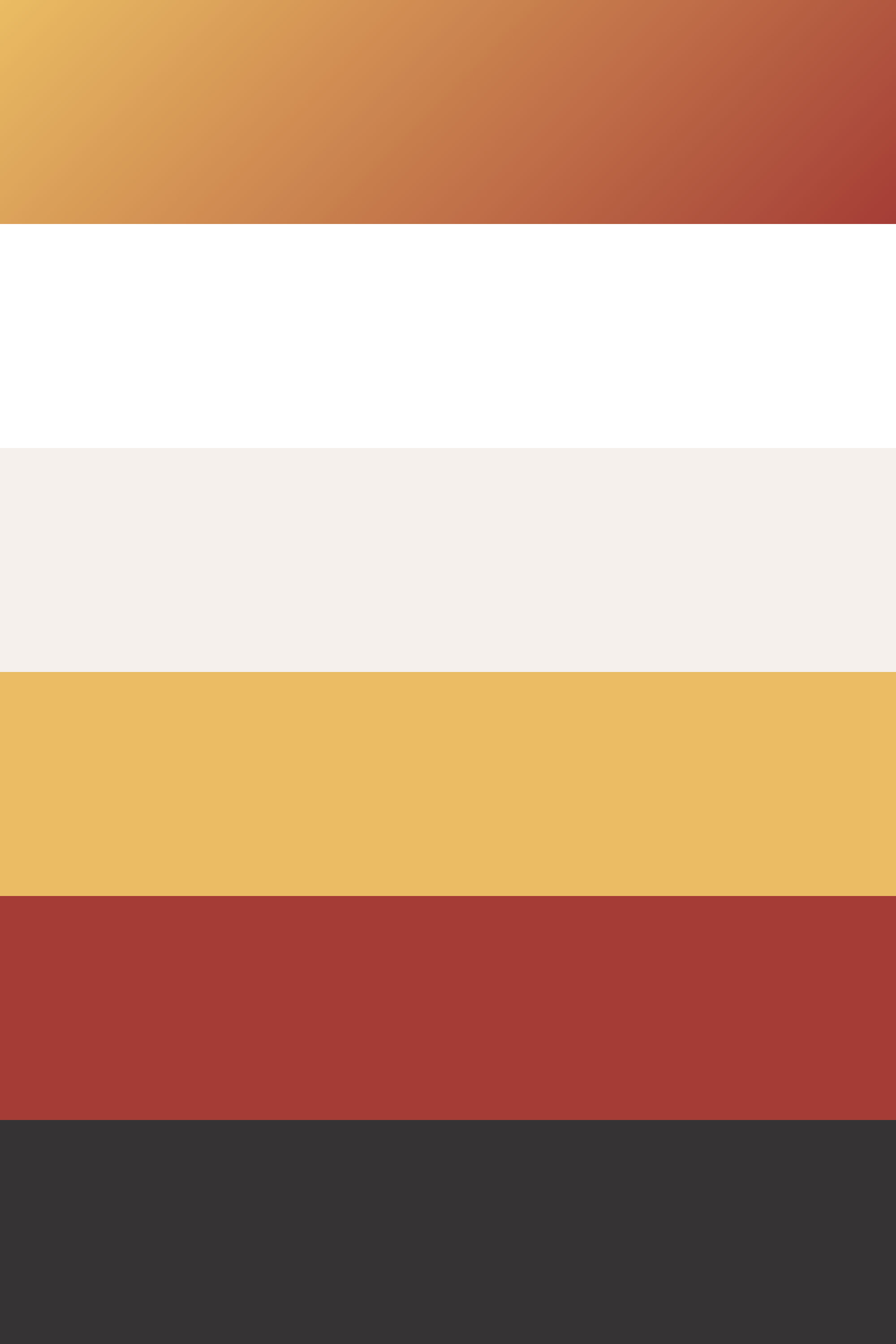La palette de couleurs de SafeSure