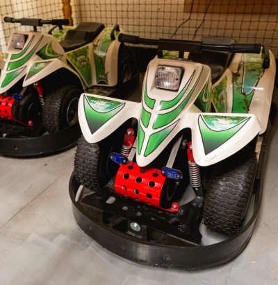 Safari Go-Karts