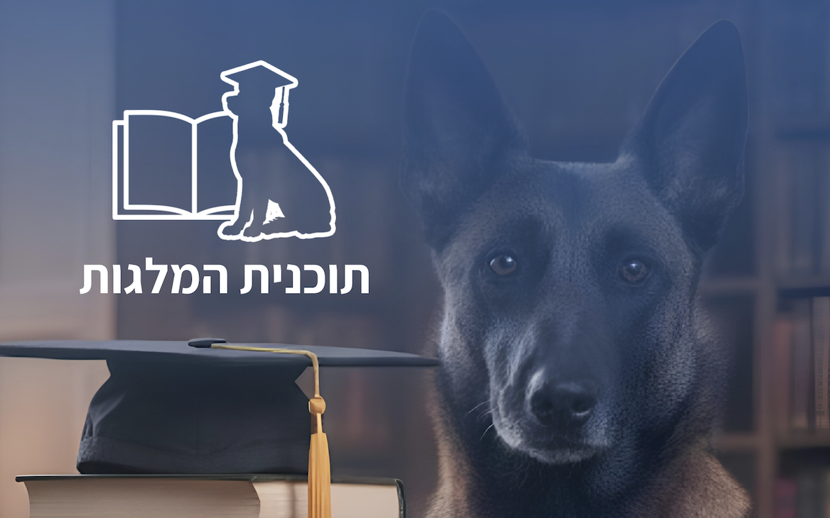 נפתחה ההרמה לתכנית המלגות לשנת תשפ״ז