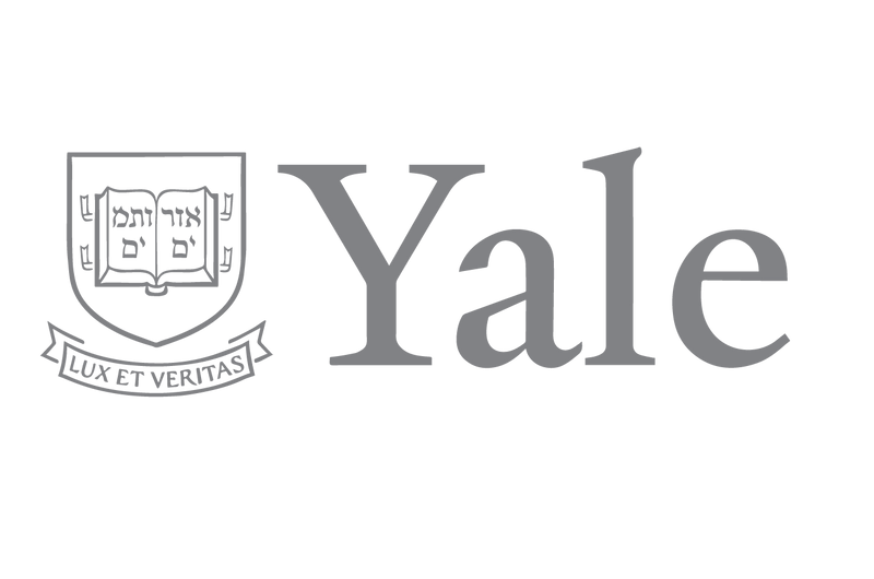 Comparing Yale Entertainment’s Past Projects Comparing Yale Entertainment’s Past Projects