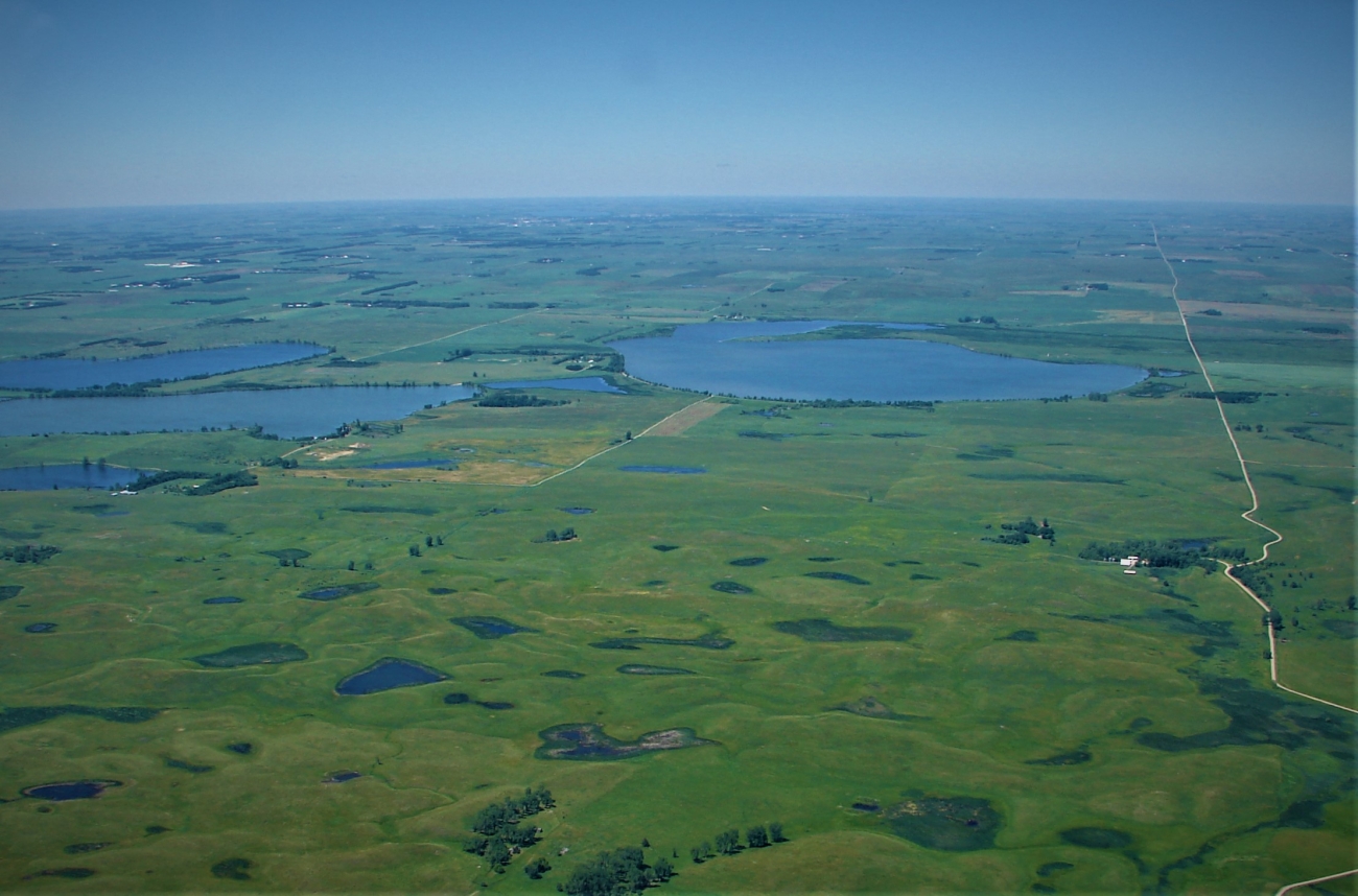 Aerial photo of a green, relatively flat landscape dotted with small ponds and larger water bodies.