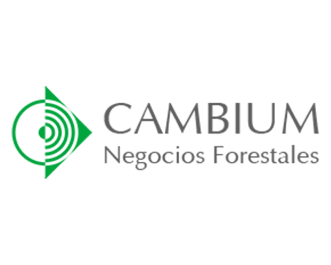 Cambium