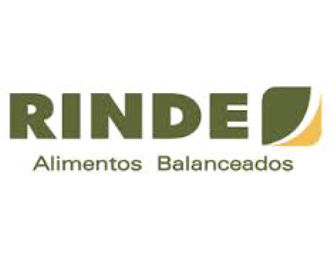 Rinde