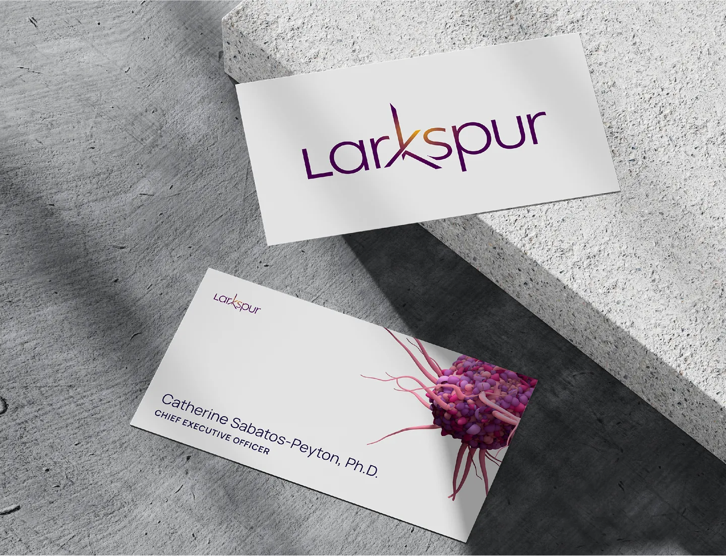 Two business cards on concrete; one shows the Larkspur logo, the other has Larkspur logo, Catherine Sabatos-Peyton, Ph.D., Chief Executive Officer, and a purple-pink abstract cluster design.