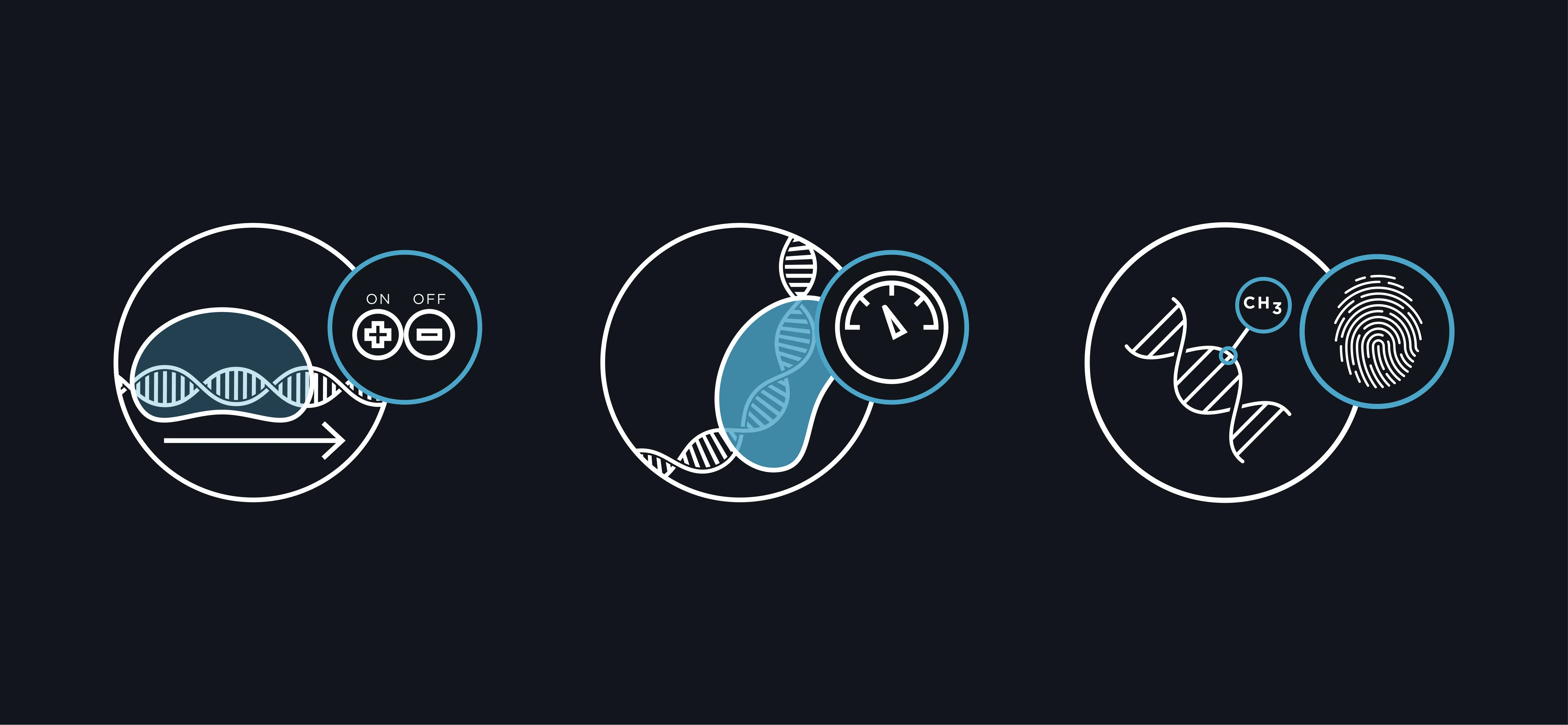 Three circular icons depicting DNA with controls and indicators: ON/OFF switch, speedometer, and fingerprint with CH3 methyl group.