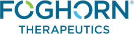 Logo of Foghorn Therapeutics with stylized lettering.