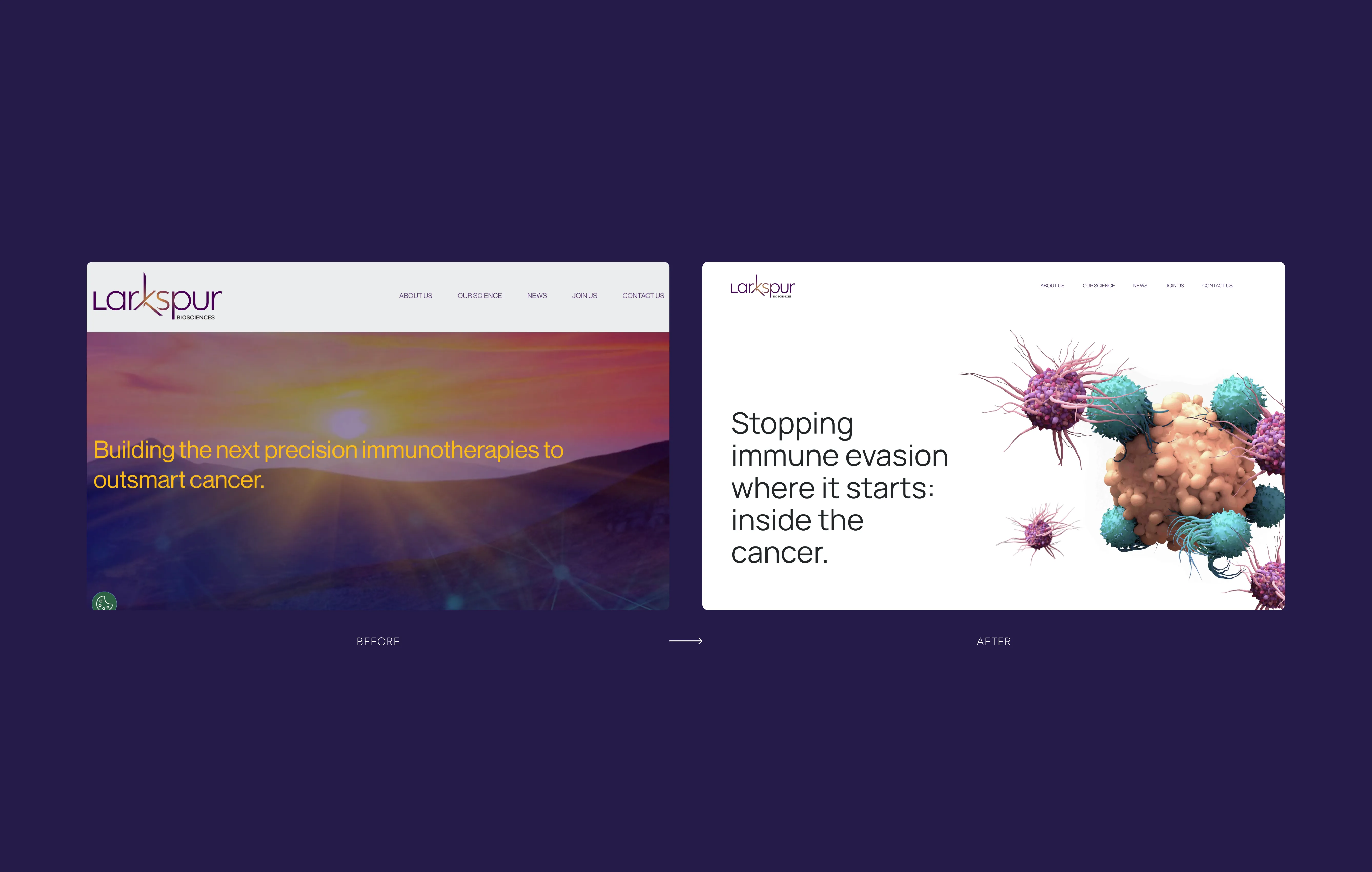 Comparison of two website homepage designs for Larkspur Biosciences, with a 'before' showing a sunset landscape and text about precision immunotherapies, and an 'after' with a white background, cancer cell illustration, and text about stopping immune evasion.