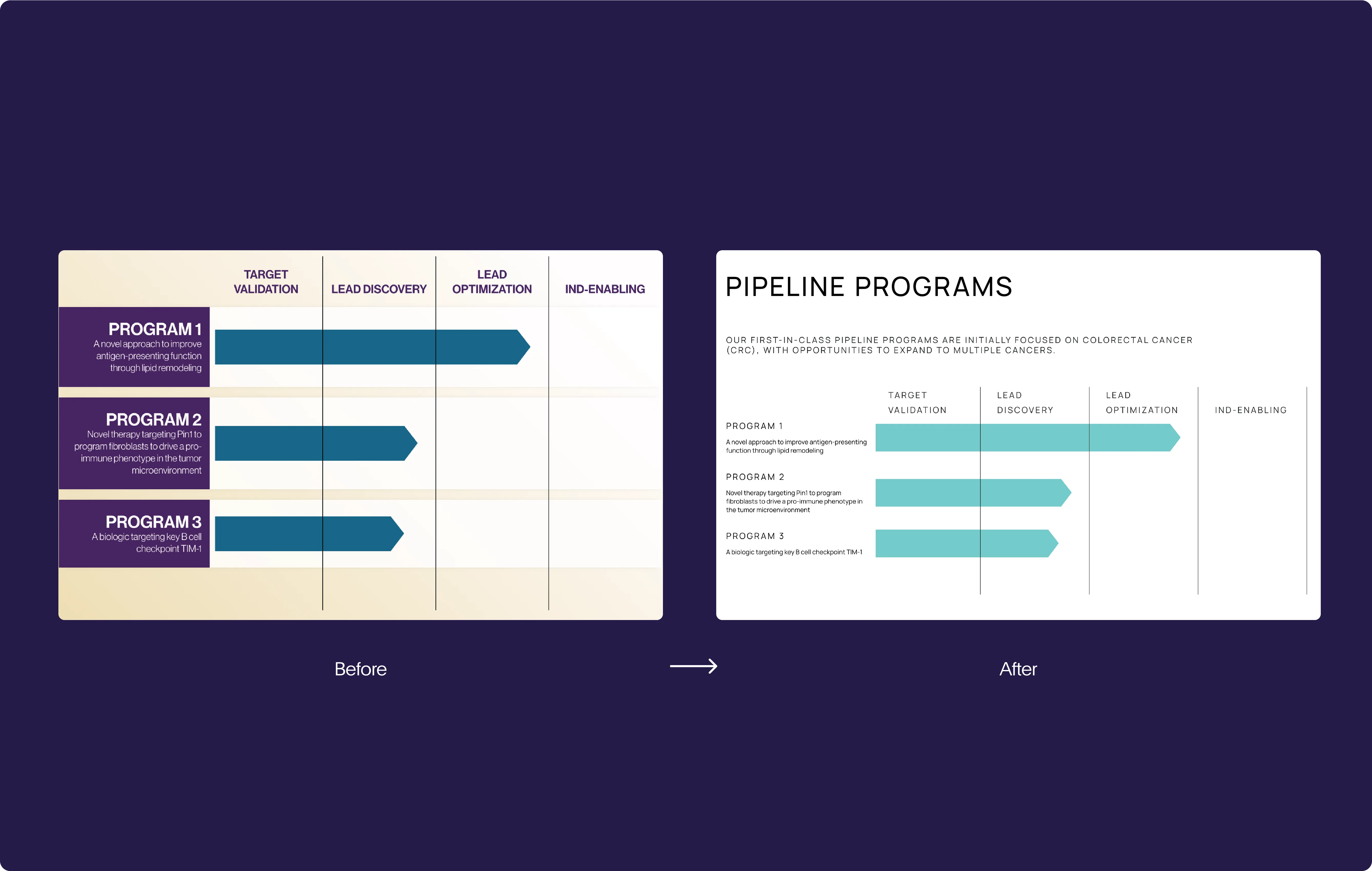 Comparison of two pipeline program charts labeled 'Before' and 'After' showing progress bars for Program 1, 2, and 3 across phases: Target Validation, Lead Discovery, Lead Optimization, and IND-Enabling.