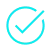 check icon