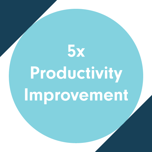 Client saw a 5x Productivity Improvement