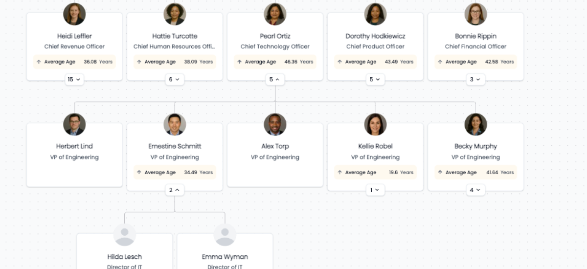 Team Leaders in Org Chart