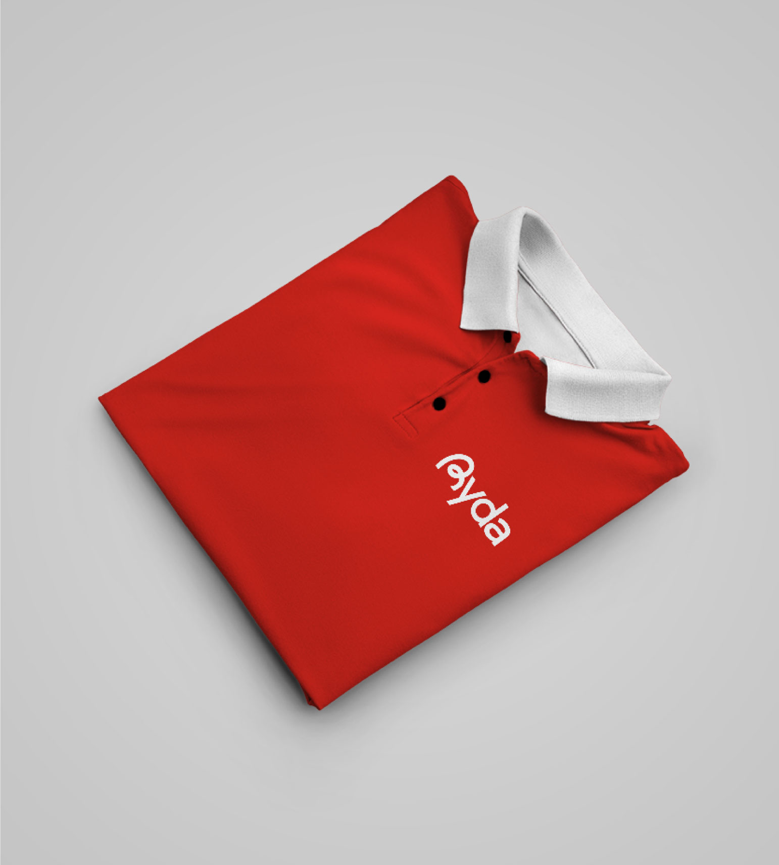 Identité visuelle pour Ryda