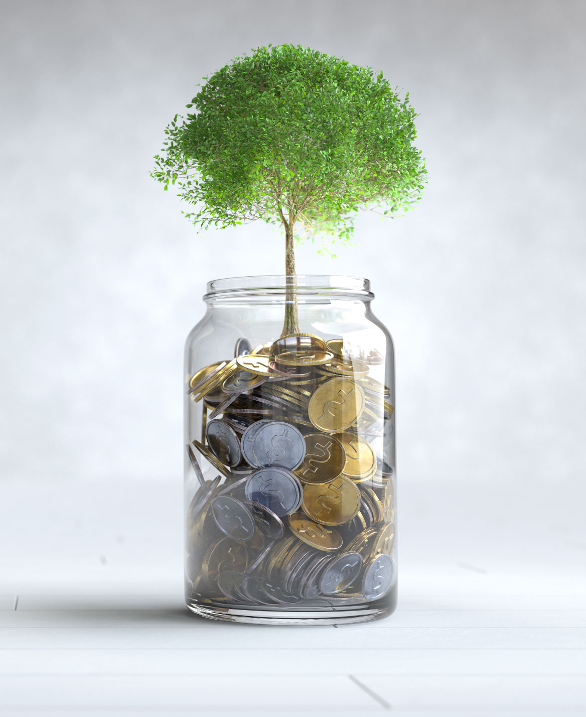 Capsules vidéo pour Makeda Asset Management