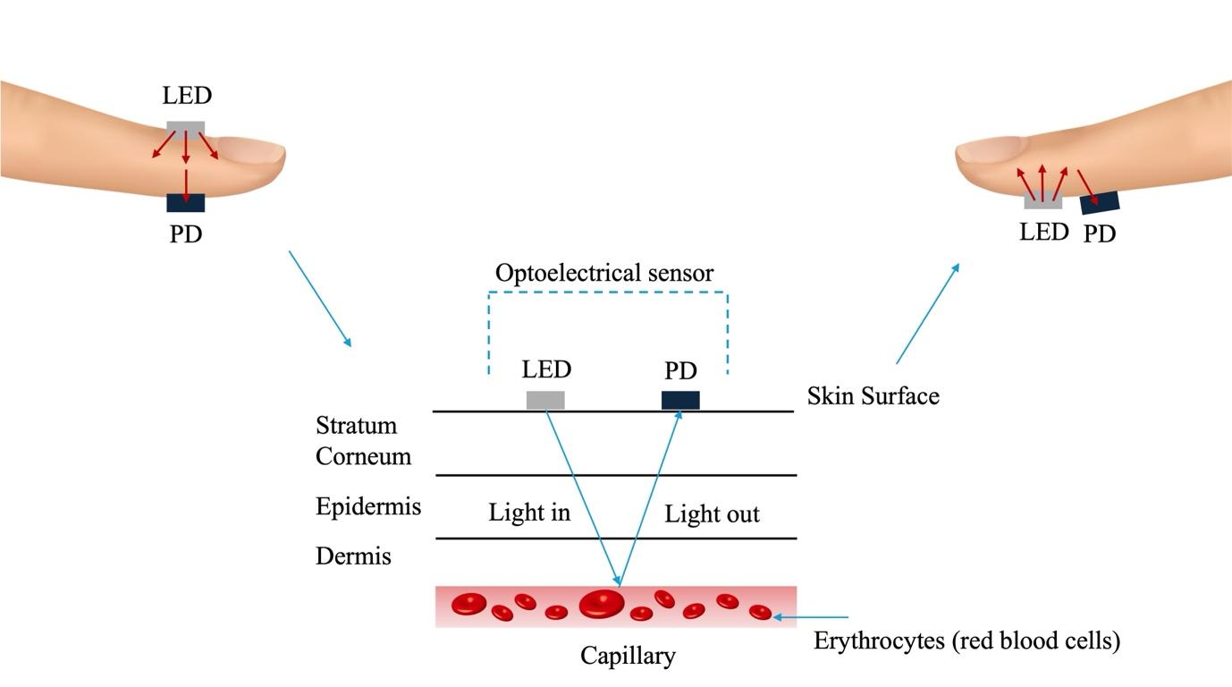 A diagram of a light and skin surfaceDescription automatically generated