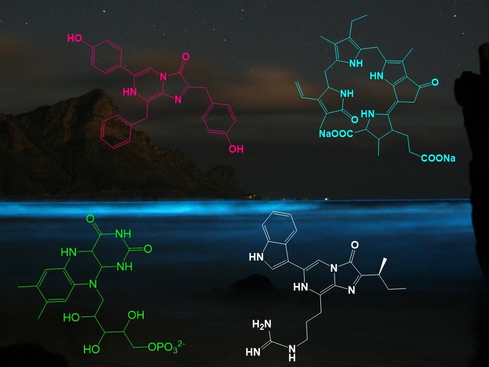 A group of chemical structures at nightDescription automatically generated