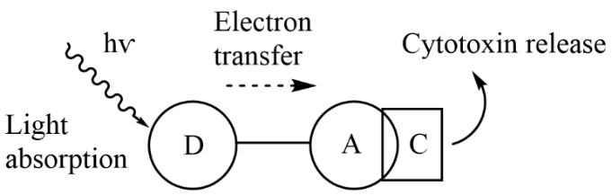 A diagram of a transferDescription automatically generated