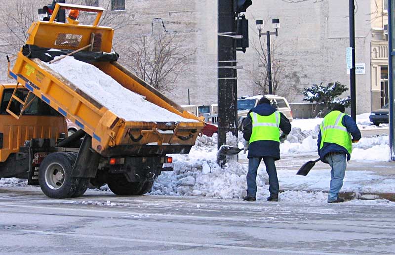 tree trimming by Nic's Works