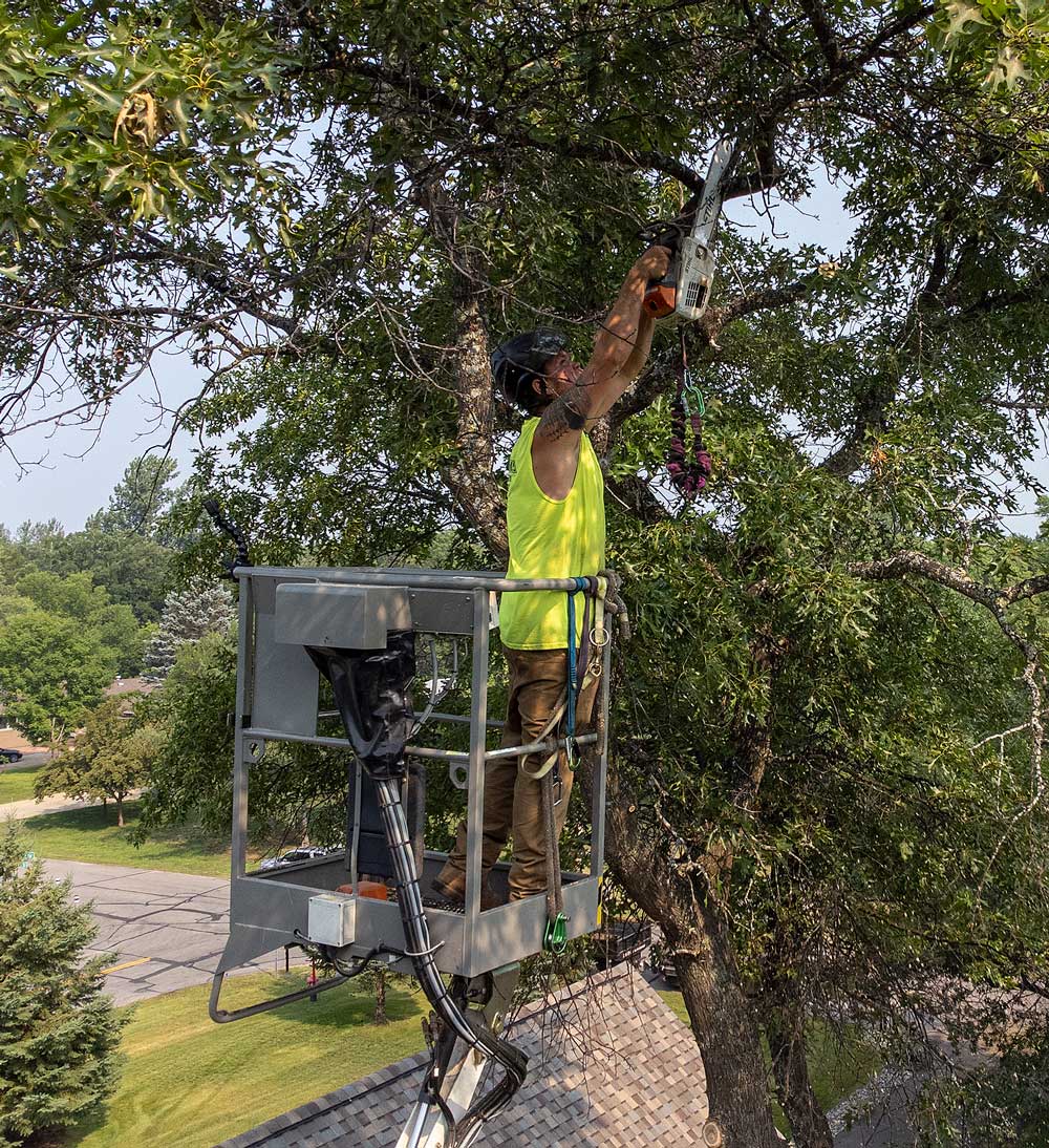 Nics Works Tree Service