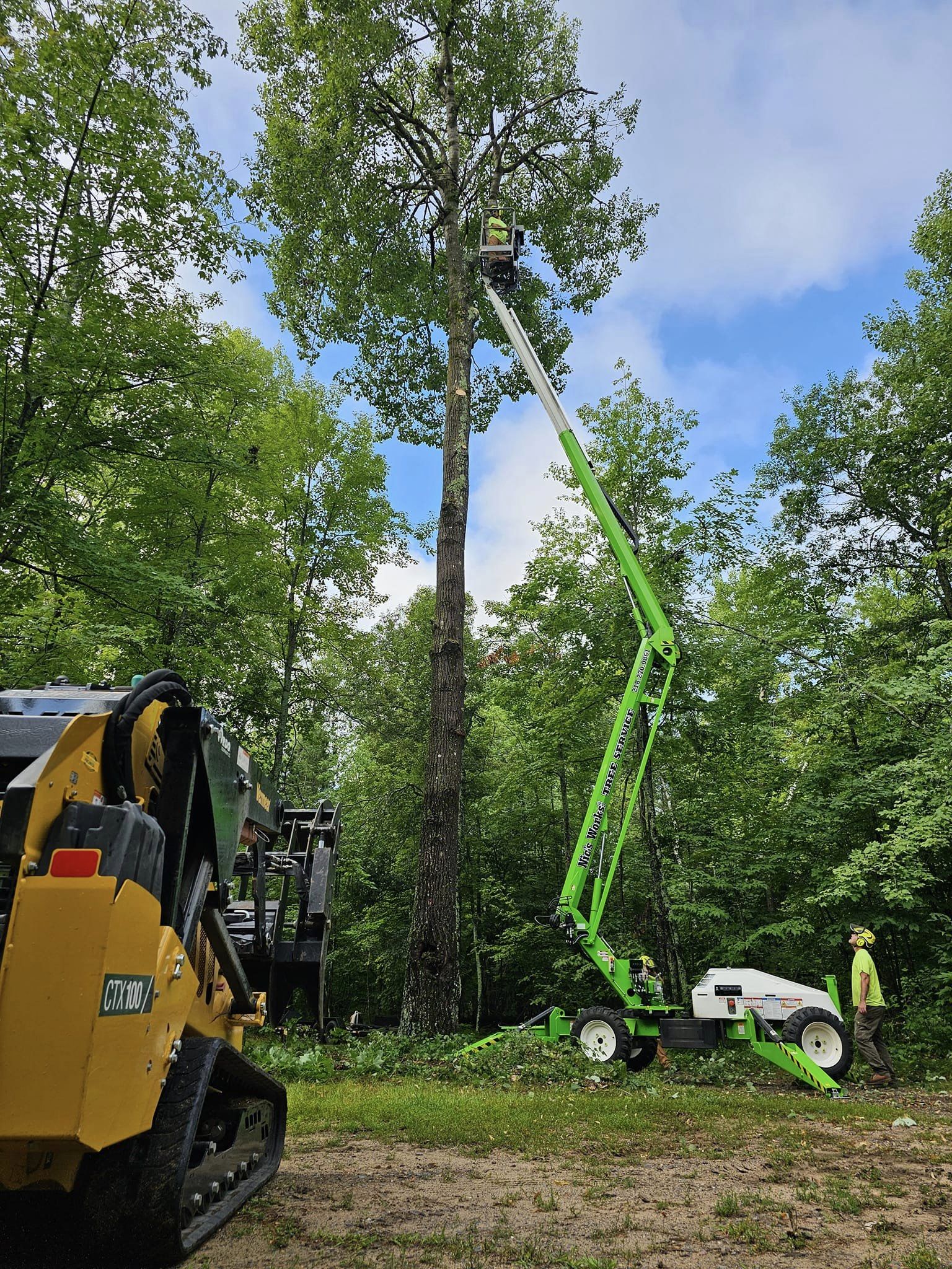 tree trimming by Nic's Works