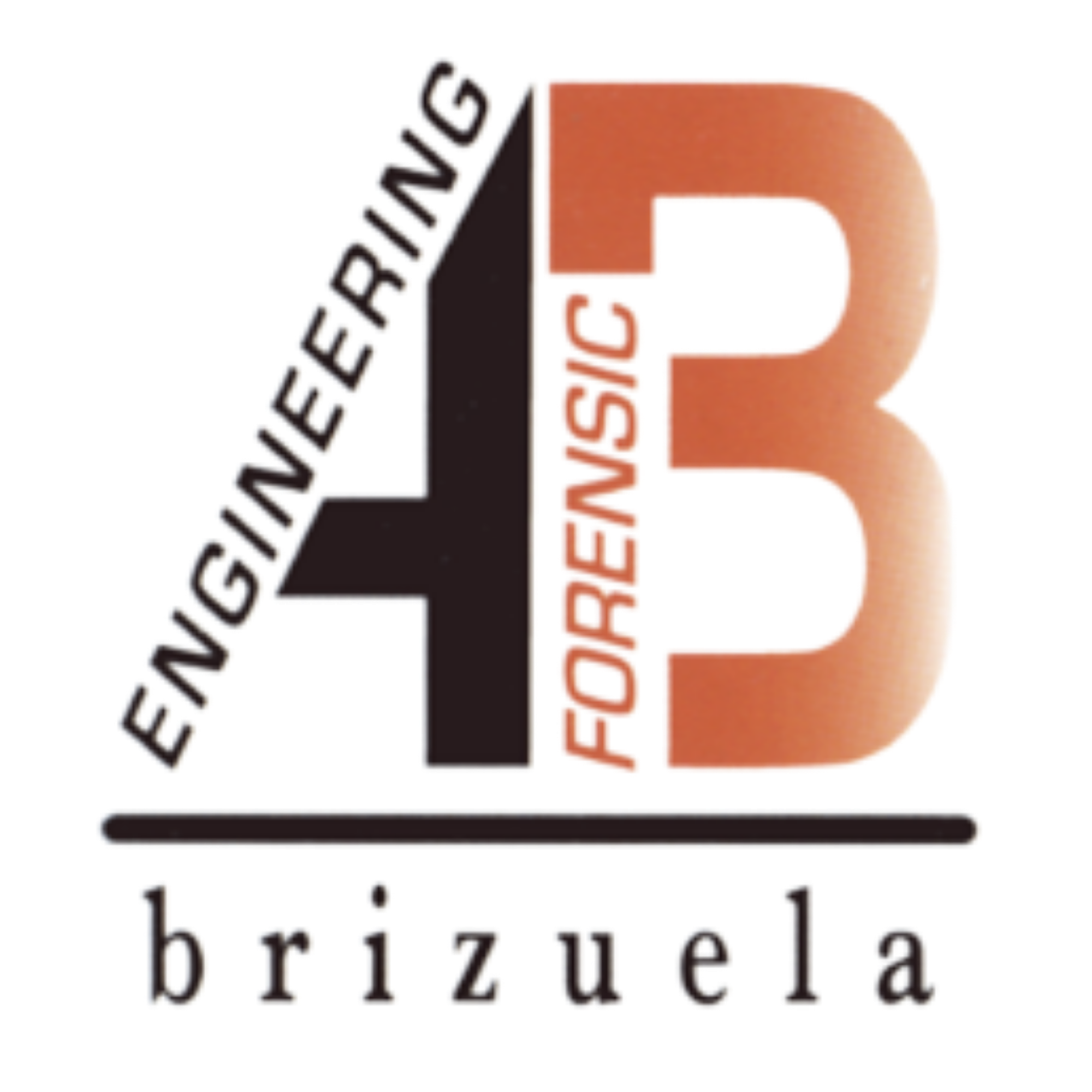 Logo with large, stylized numbers 4 and 3 side by side; the word ENGINEERING curves alongside the 4, FORENSIC is written vertically within the 3, and 'brizuela' appears below a horizontal line under the numbers.