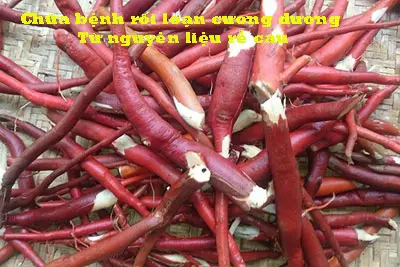 Chữa bệnh từ nguyên liệu rễ cau