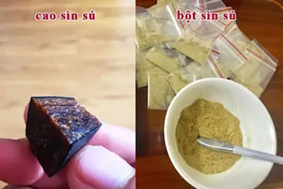 Cao sìn sú có tác dụng phụ không?