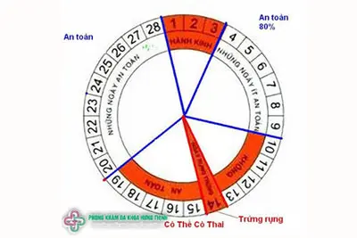 Thời gian rụng trứng ở phụ nữ