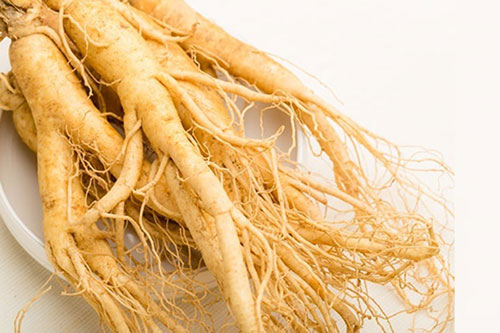 Cây xâm đương quy