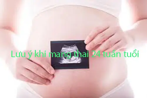 Lưu ý khi mang thai 24 tuần tuổi