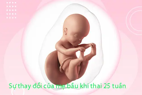Sự thay đổi của mẹ bầu khi thai 25 tuần