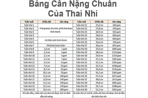 Chỉ số thai 33 tuần
