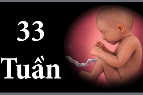 Thai 33 tuần là mấy tháng​