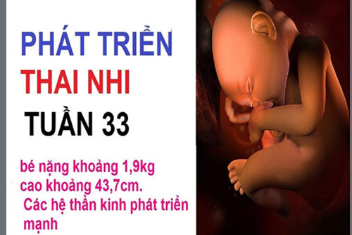 Thai 33 tuần nặng bao nhiêu kg?