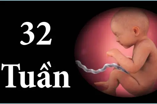 Sự phát triển của thai nhi 32 tuần tuổi