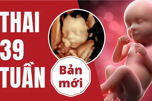 Thai 39 tuần là mấy tháng?