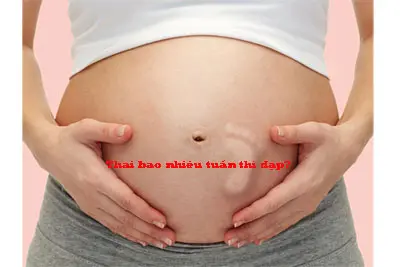 Thai bao nhiêu tuần thì đạp?