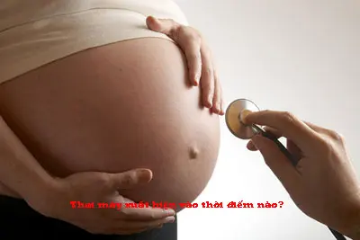 Thai máy xuất hiện vào thời điểm nào?