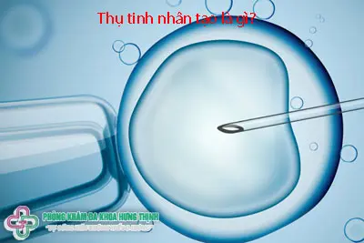 Thụ tinh nhân tạo là gì?
