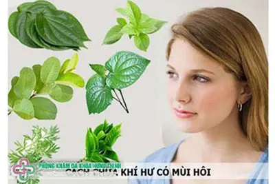 Cách chữa khí hư ra nhiều bằng thiên nhiên