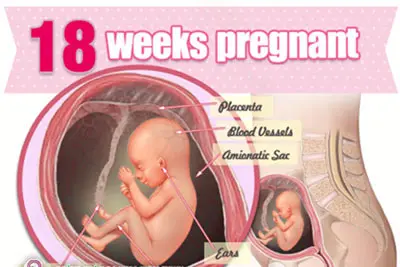 Mốc khám thai quan trọng từ tuần thai thứ 15 - 18