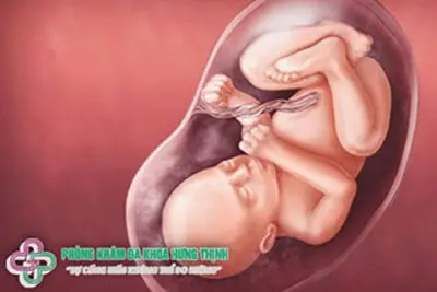 Mốc khám thai tuần thai 40 - 42